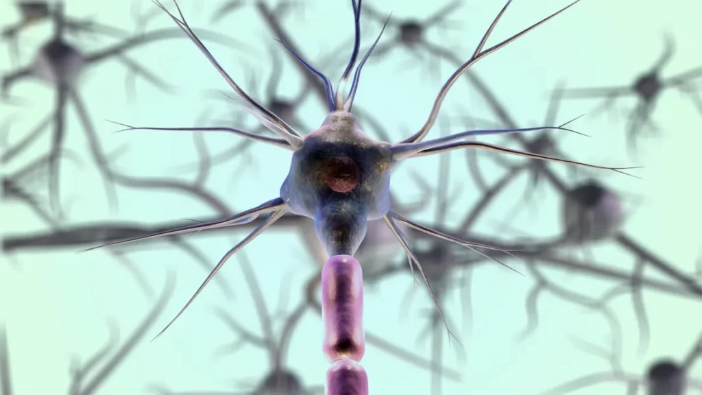Yoga bättre för ditt minne än annan träning. Foto: Neurons Licens: Pixabay