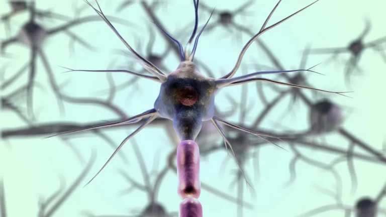 Yoga bättre för ditt minne än annan träning. Foto: Neurons Licens: Pixabay